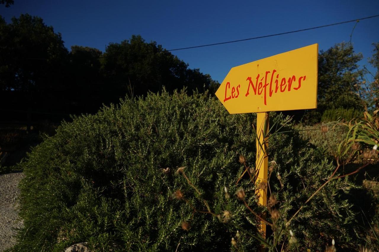 Les Nefliers Gite Cereste ภายนอก รูปภาพ